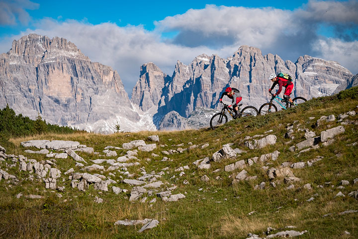 AltSpaur - Attività sul territorio trentino