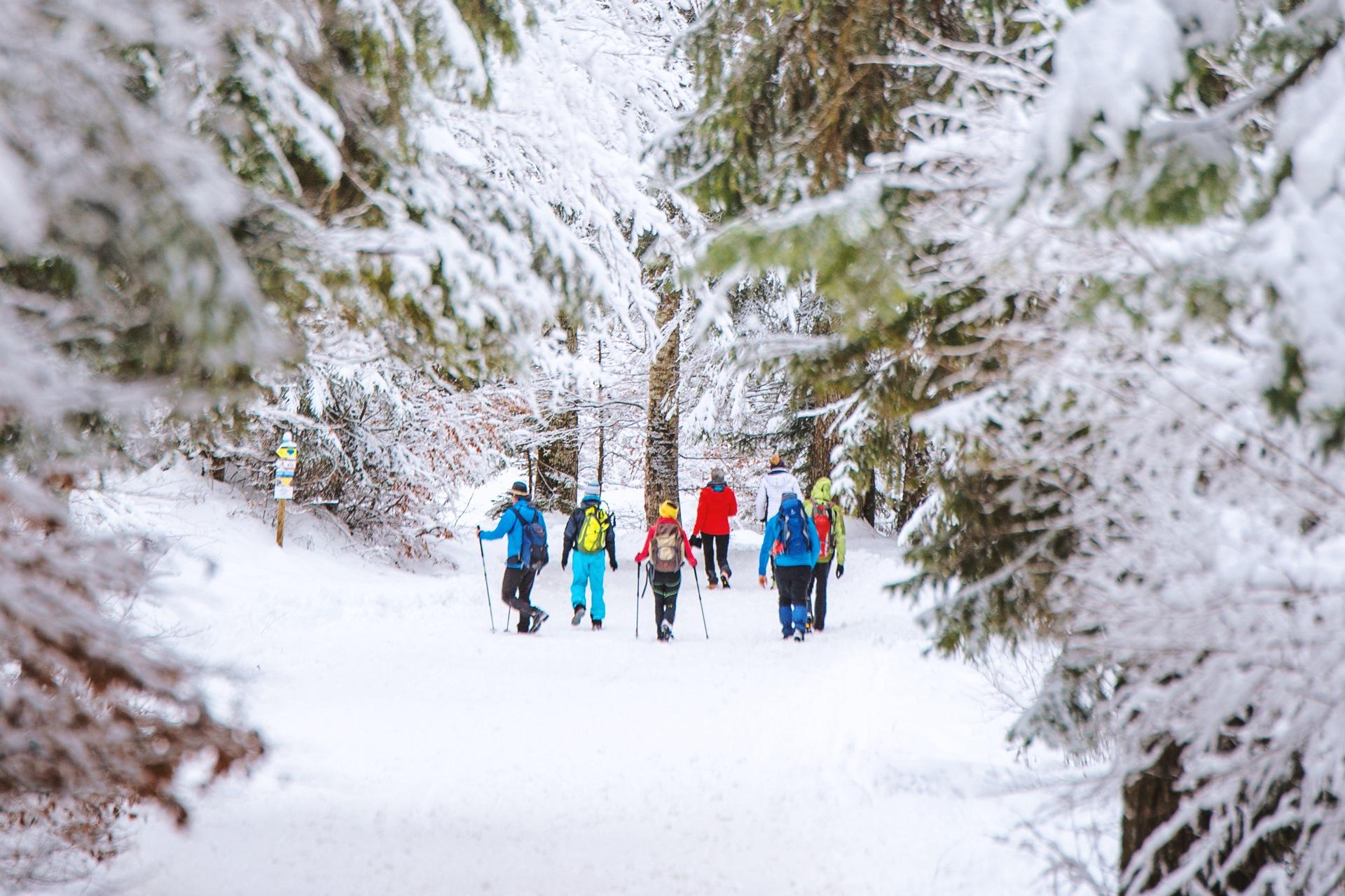 Skiurlaub auf der Paganella